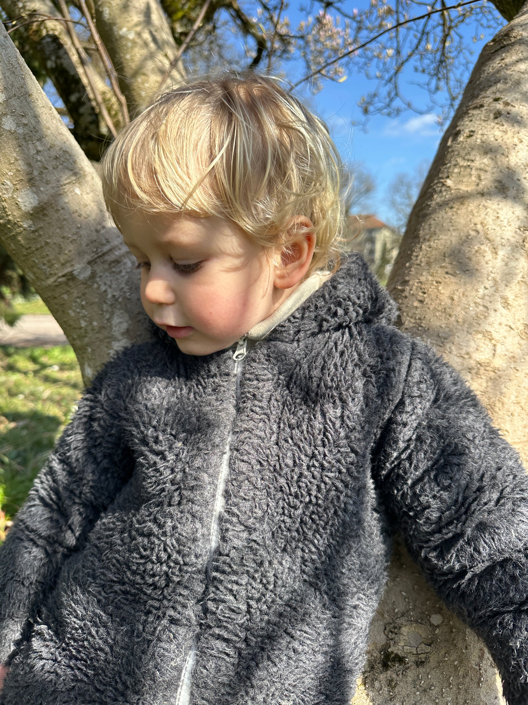 Baby/Kind Schurwolljacke - Anthrazit
