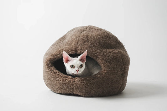 Nest Natural Woolen Pet Bed - Beige - MellowConceptStore