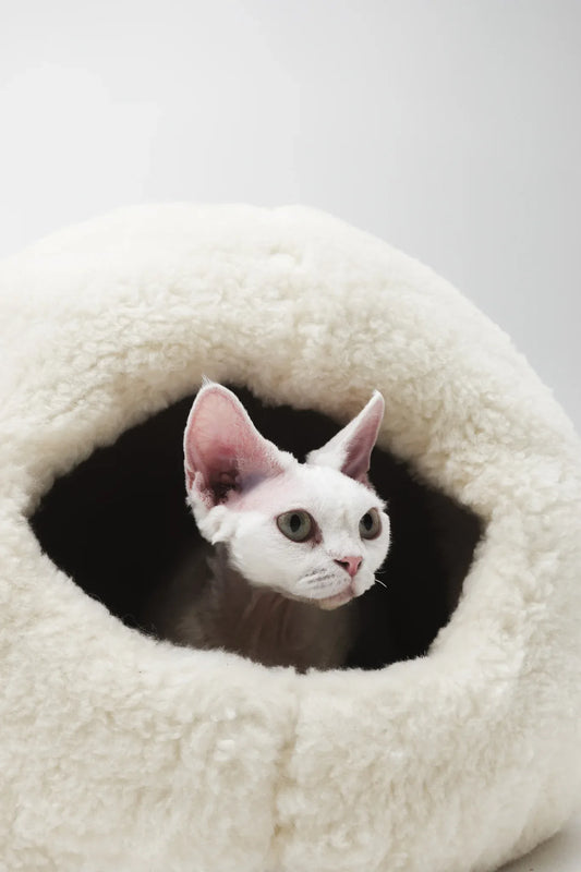 Nest Natural Woolen Pet Bed - White - MellowConceptStore