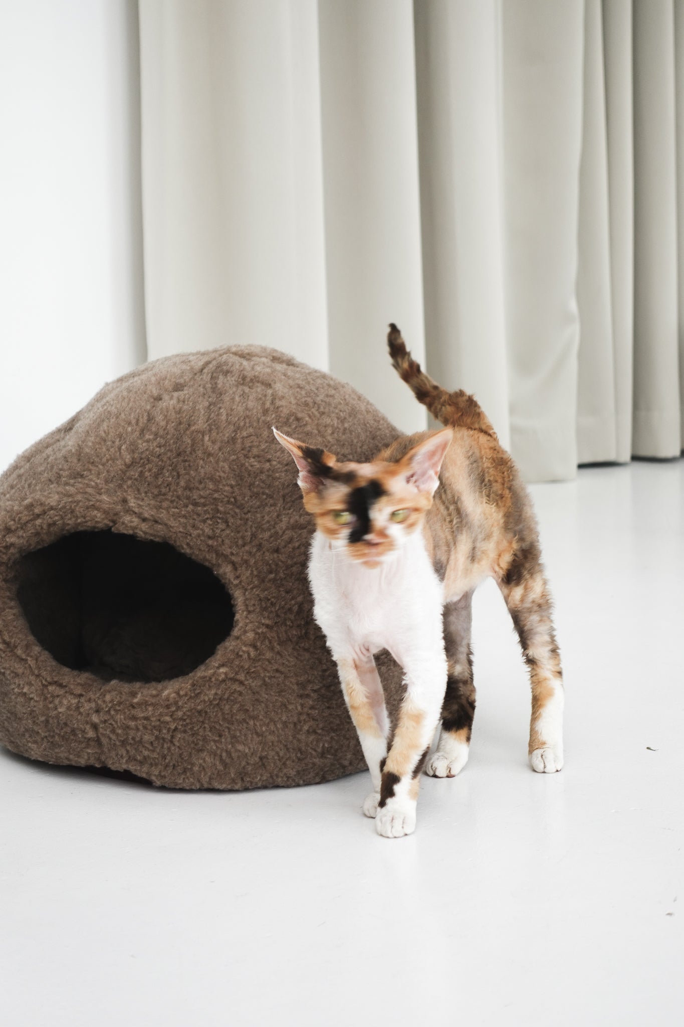 Cat standing next to a brown sheepskin pet bed on a white floor with light gray curtains in the background. | Natural, non‑toxic pet nest for cats and small dogs | Cozy, handmade pet furniture, natural wool and sheepskin