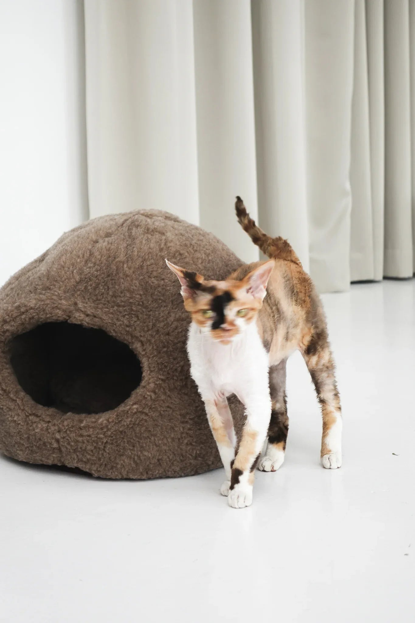 Nest Natural Sheepskin Pet Bed - Beige - MellowConceptStore