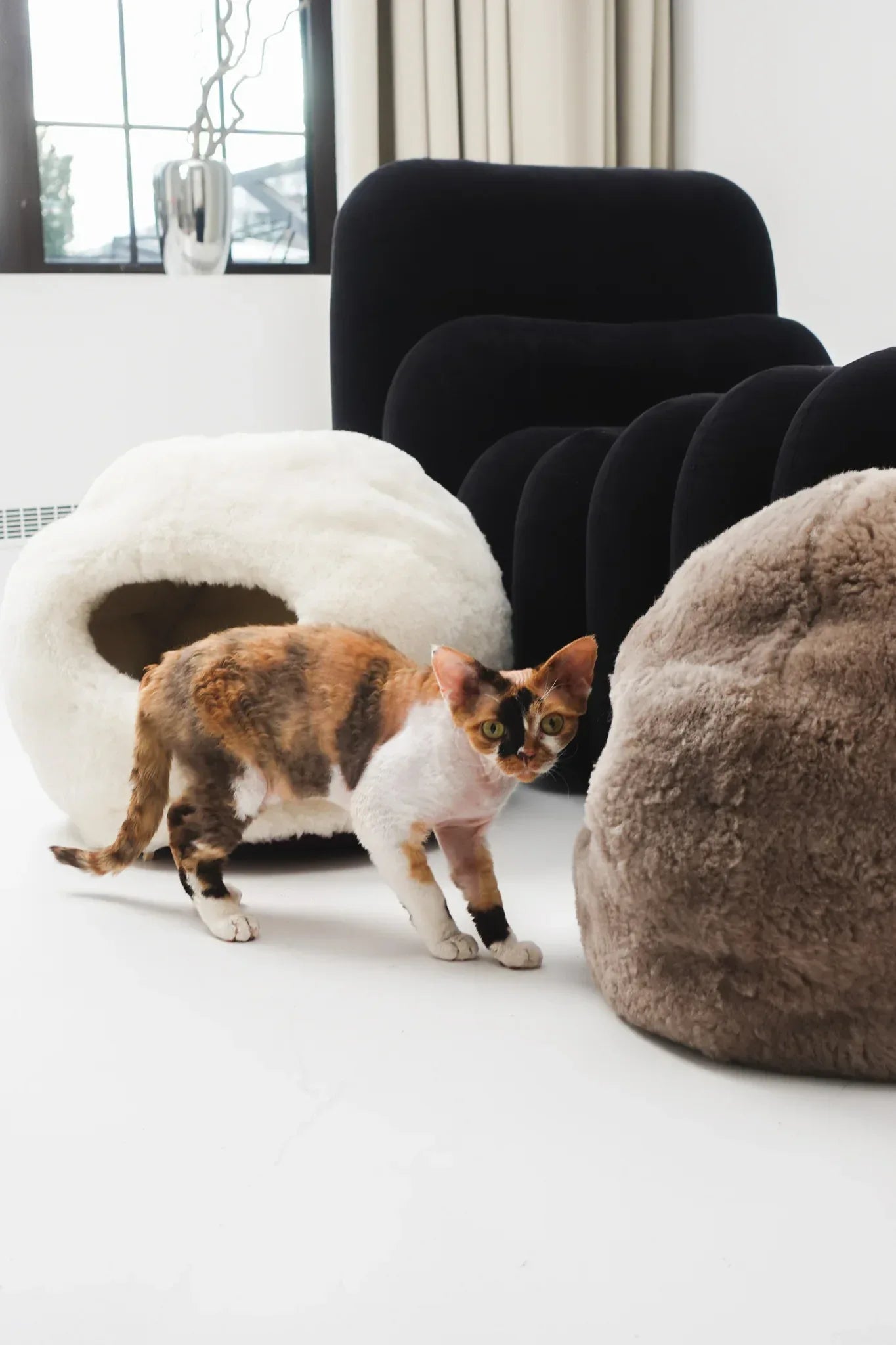 Nest Natural Sheepskin Pet Bed - Beige - MellowConceptStore
