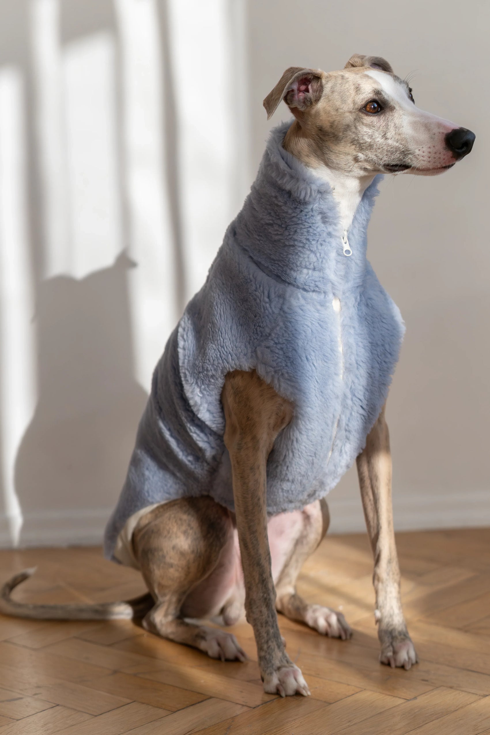 Woolen Dog Vest - Blue - MellowConceptStore