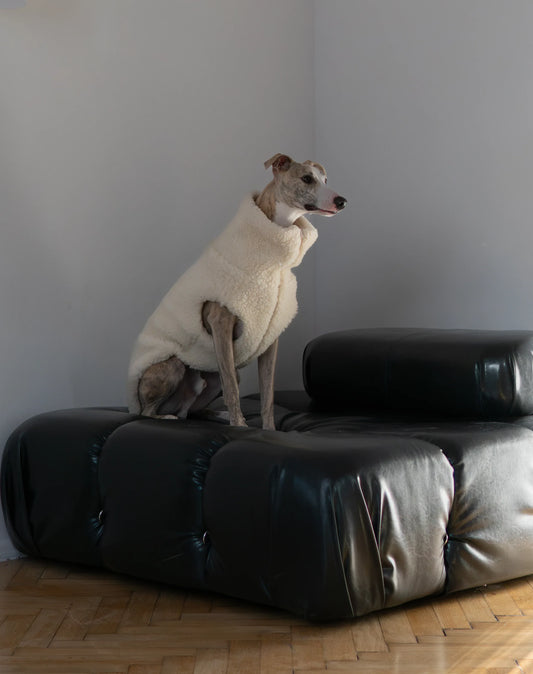 Woolen Dog Vest - White - MellowConceptStore