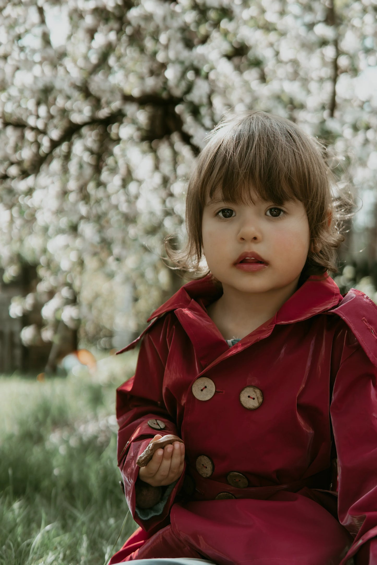 Kid's Trench Coat - Burgundy Red - Cotton - MellowConceptStore