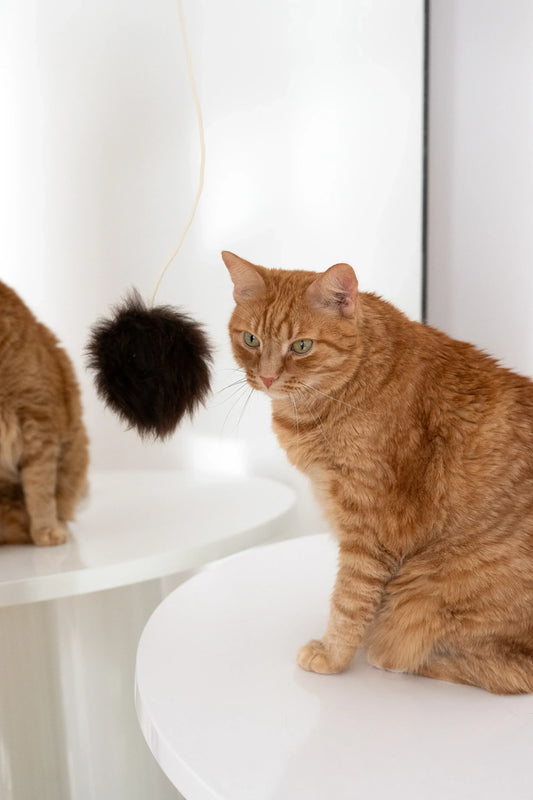 Natural Sheepskin Cat Toy: Ball - MellowConceptStore