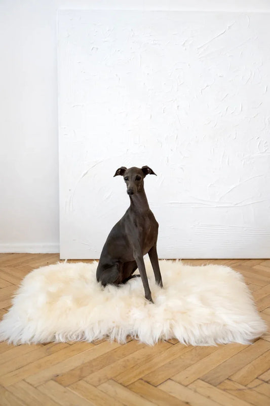 Square or Rectangular Natural Sheepskin Pet Mat - White - MellowConceptStore