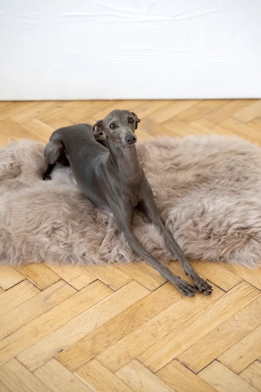 Square or Rectangular Natural Sheepskin Pet Mat - Greige - MellowConceptStore