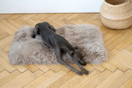 Square or Rectangular Natural Sheepskin Pet Mat - Greige - MellowConceptStore