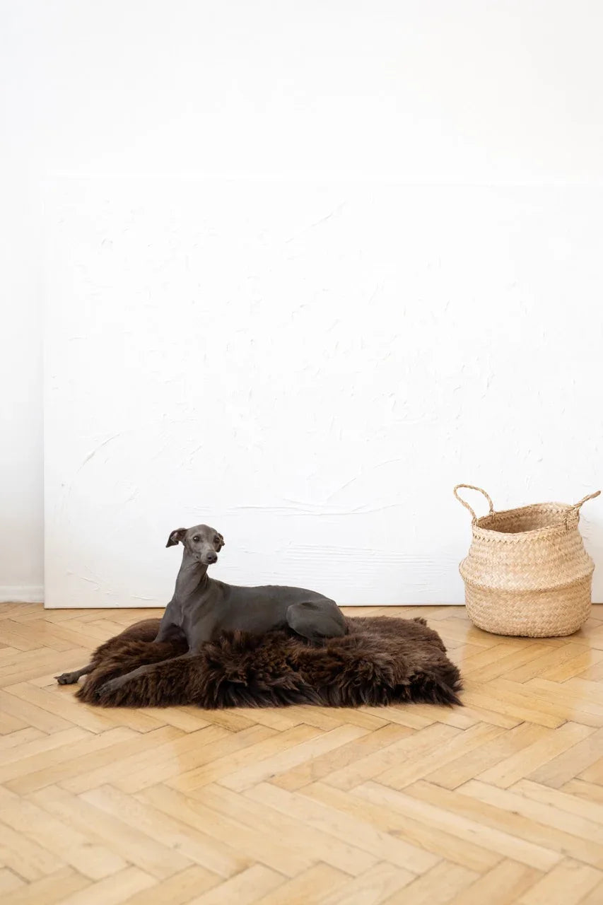 Square or Rectangular Natural Sheepskin Pet Mat - Brown - MellowConceptStore
