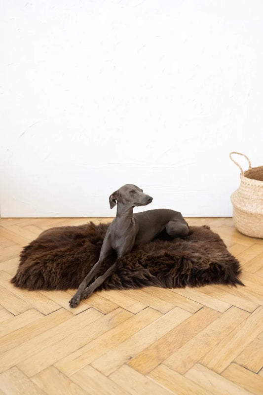 Square or Rectangular Natural Sheepskin Pet Mat - Brown - MellowConceptStore
