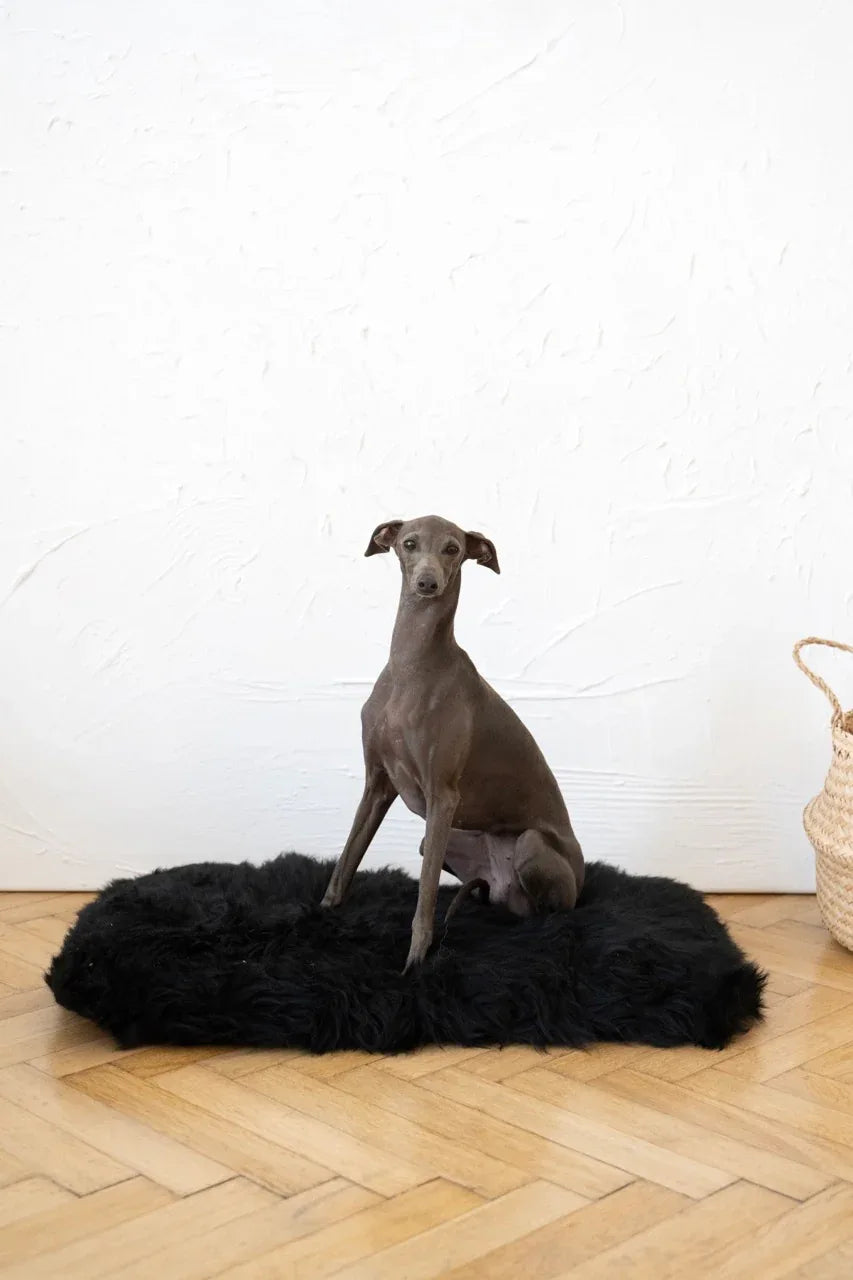 Square or Rectangular Natural Sheepskin Pet Mat - Black - MellowConceptStore
