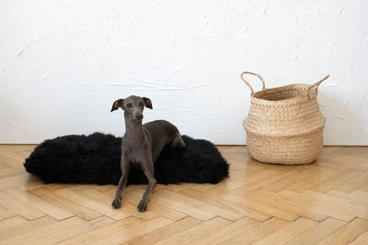 Square or Rectangular Natural Sheepskin Pet Mat - Black - MellowConceptStore