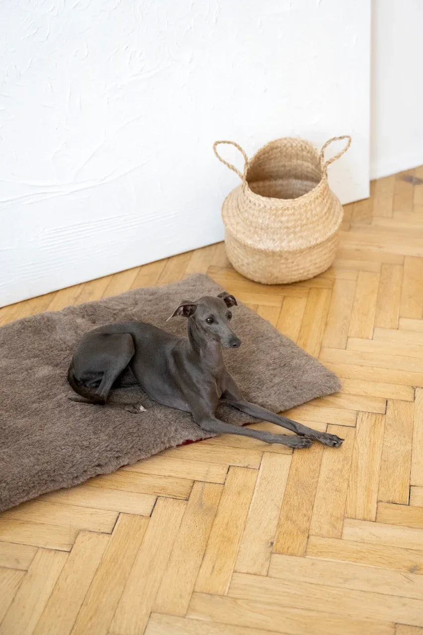 Square or Rectangular Natural Woolen Pet Mat - Beige - MellowConceptStore
