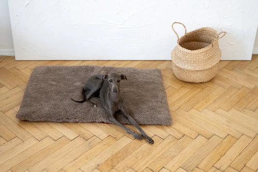 Square or Rectangular Natural Woolen Pet Mat - Beige - MellowConceptStore