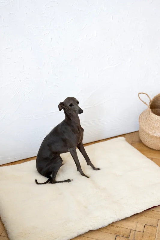 Square or Rectangular Natural Woolen Pet Mat - White - MellowConceptStore