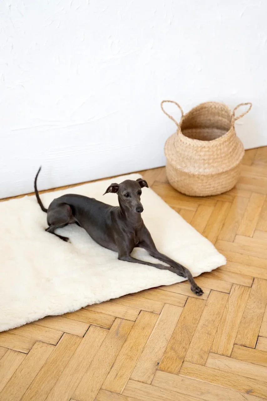 Square or Rectangular Natural Woolen Pet Mat - White - MellowConceptStore