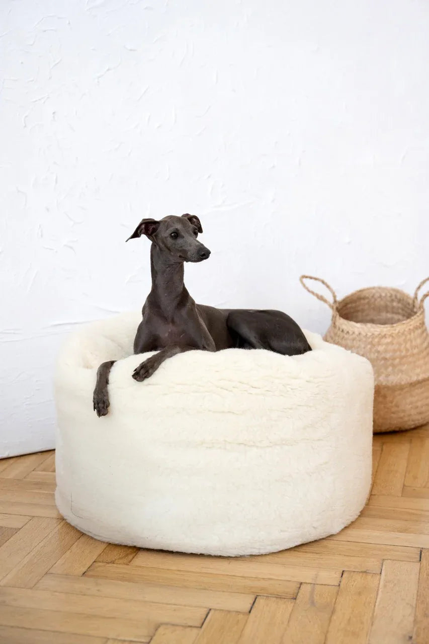 Oval Natural Wool Pet Bed - White - MellowConceptStore