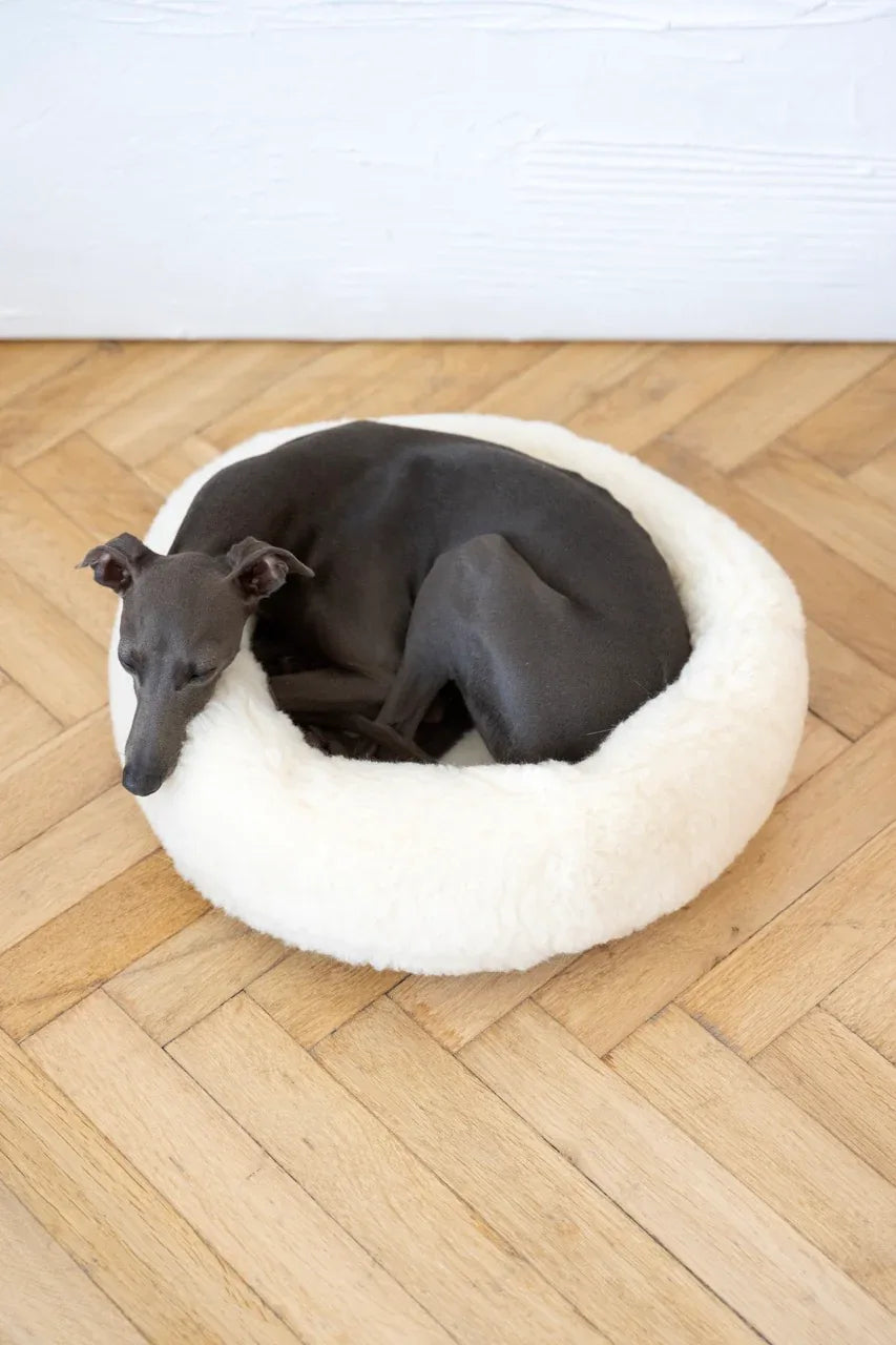 Round Natural Wool Pet Bed - White - MellowConceptStore