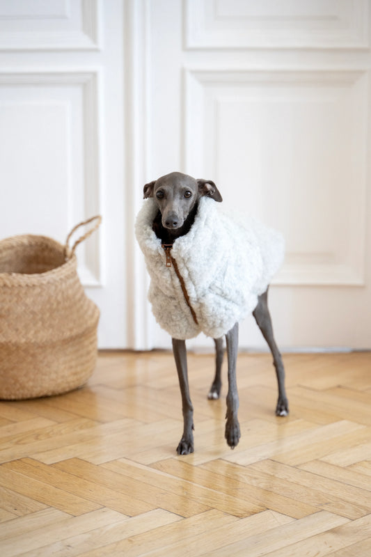 Woolen Dog Vest - Light Grey - MellowConceptStore