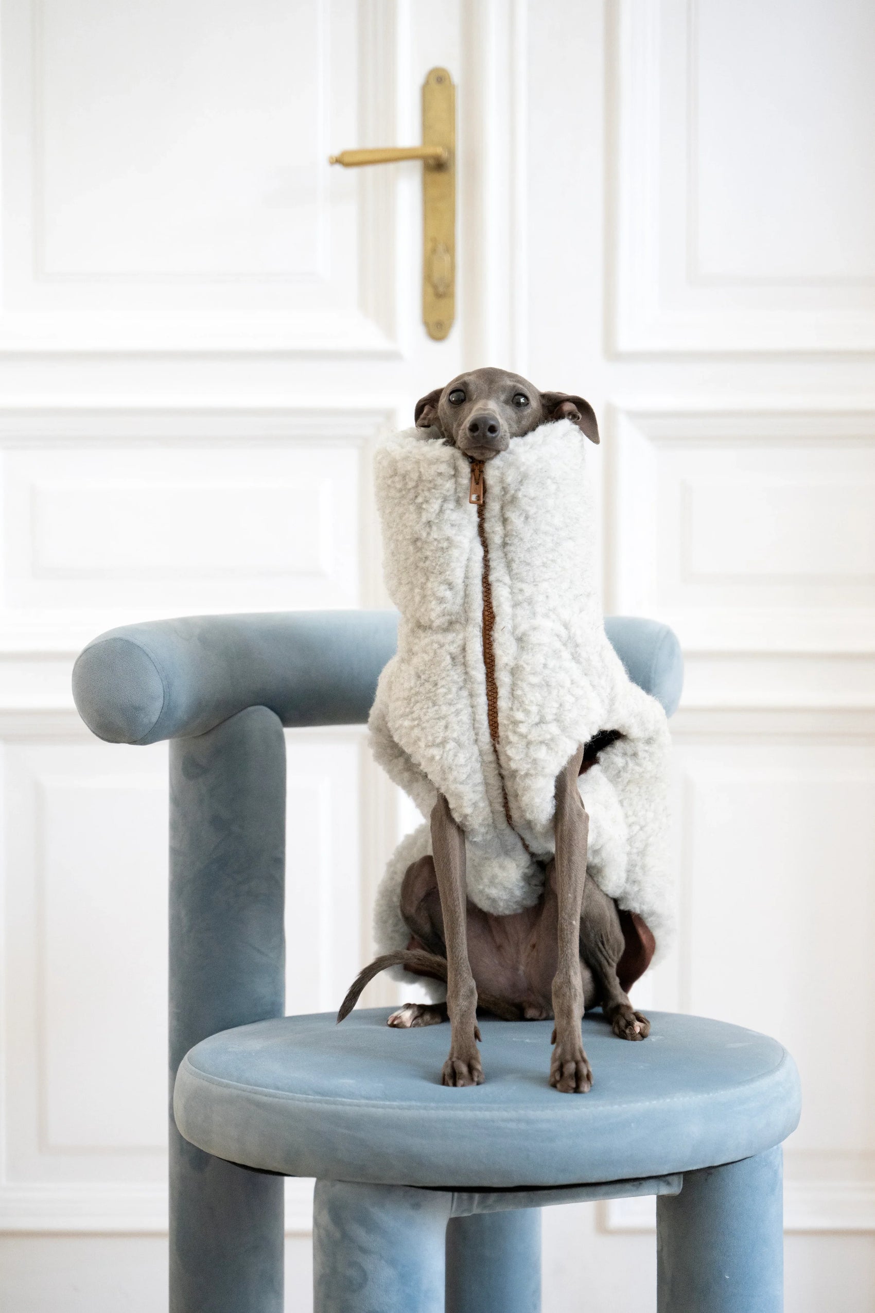 Woolen Dog Vest - Light Grey - MellowConceptStore