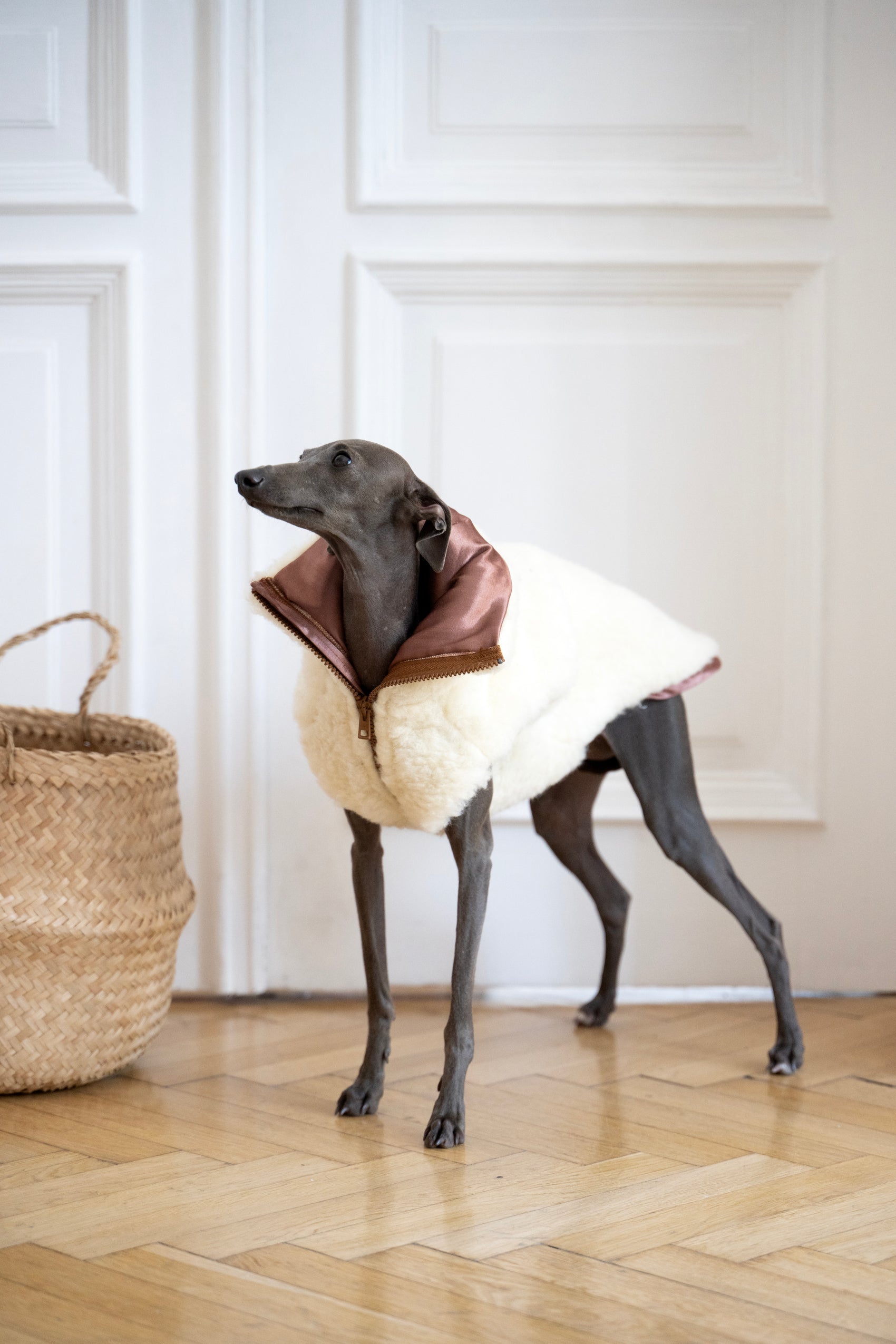 Woolen Dog Vest White