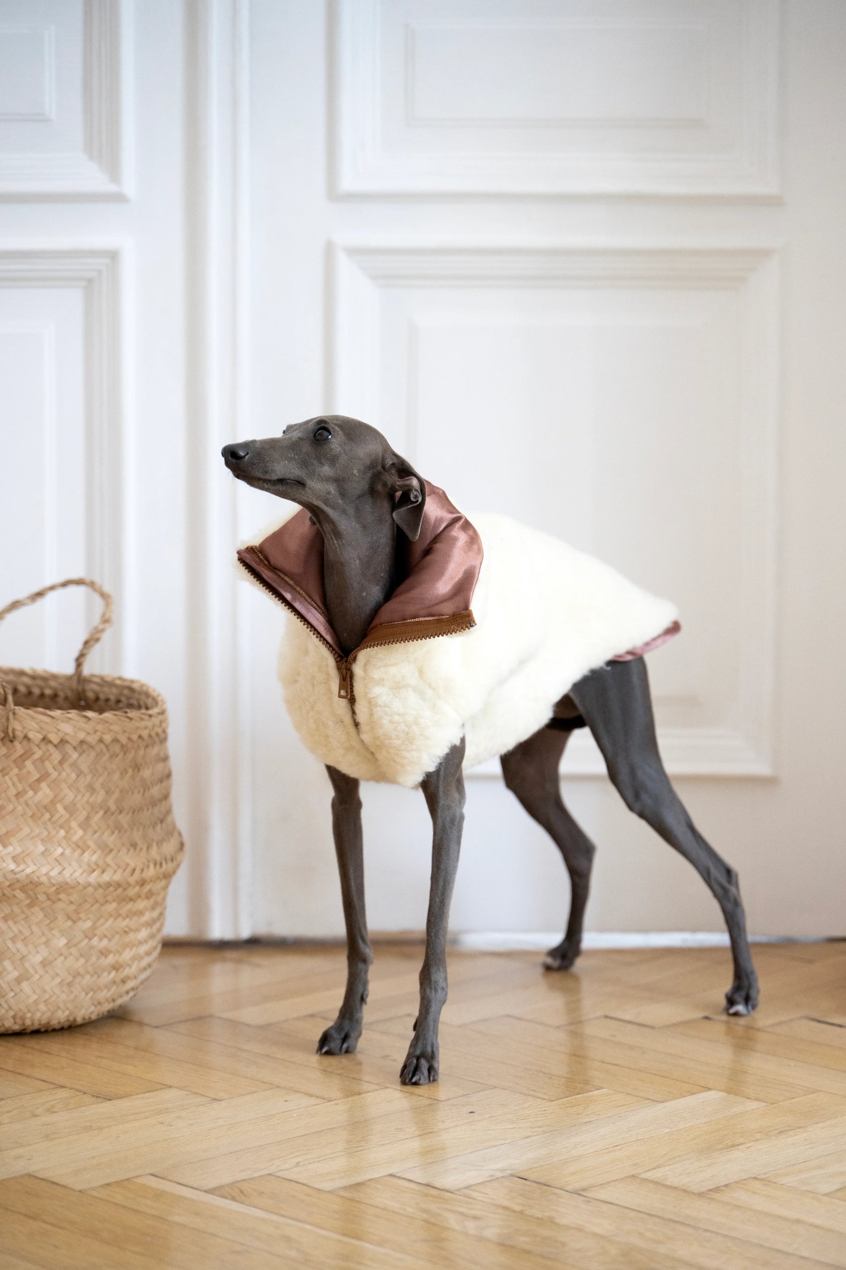 Woolen Dog Vest - White - MellowConceptStore