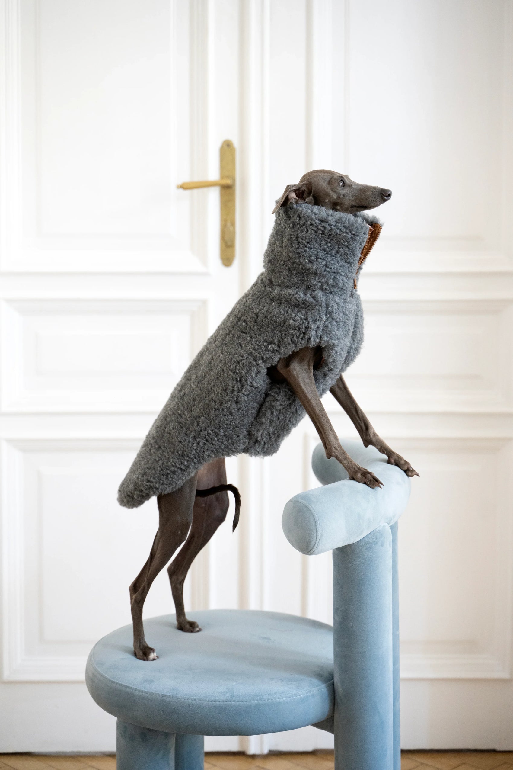 Woolen Dog Vest - Dark Grey - MellowConceptStore