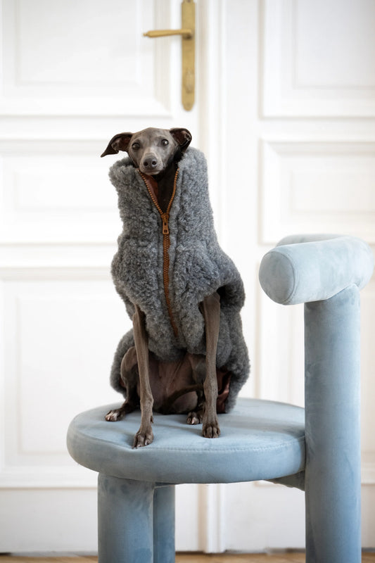 Woolen Dog Vest - Dark Grey - MellowConceptStore