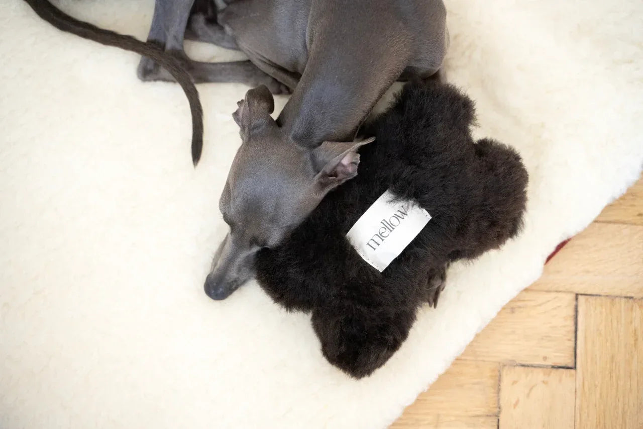 Square or Rectangular Natural Woolen Pet Mat - White - MellowConceptStore