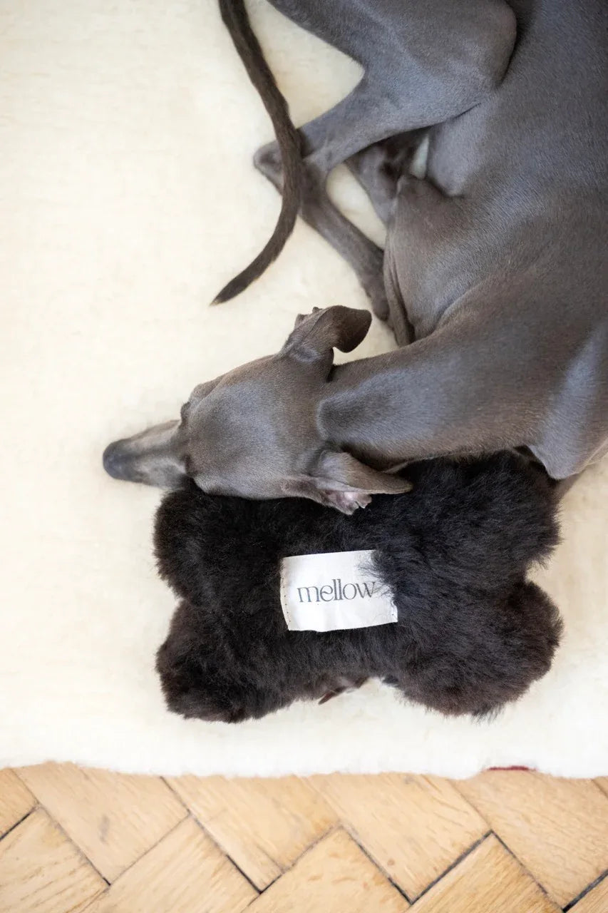 Natural Sheepskin Dog Toy - Bone - Black - MellowConceptStore
