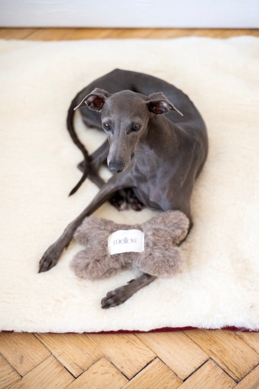 Hundespielzeug aus natürlicher Wolle - Knochen - Beige