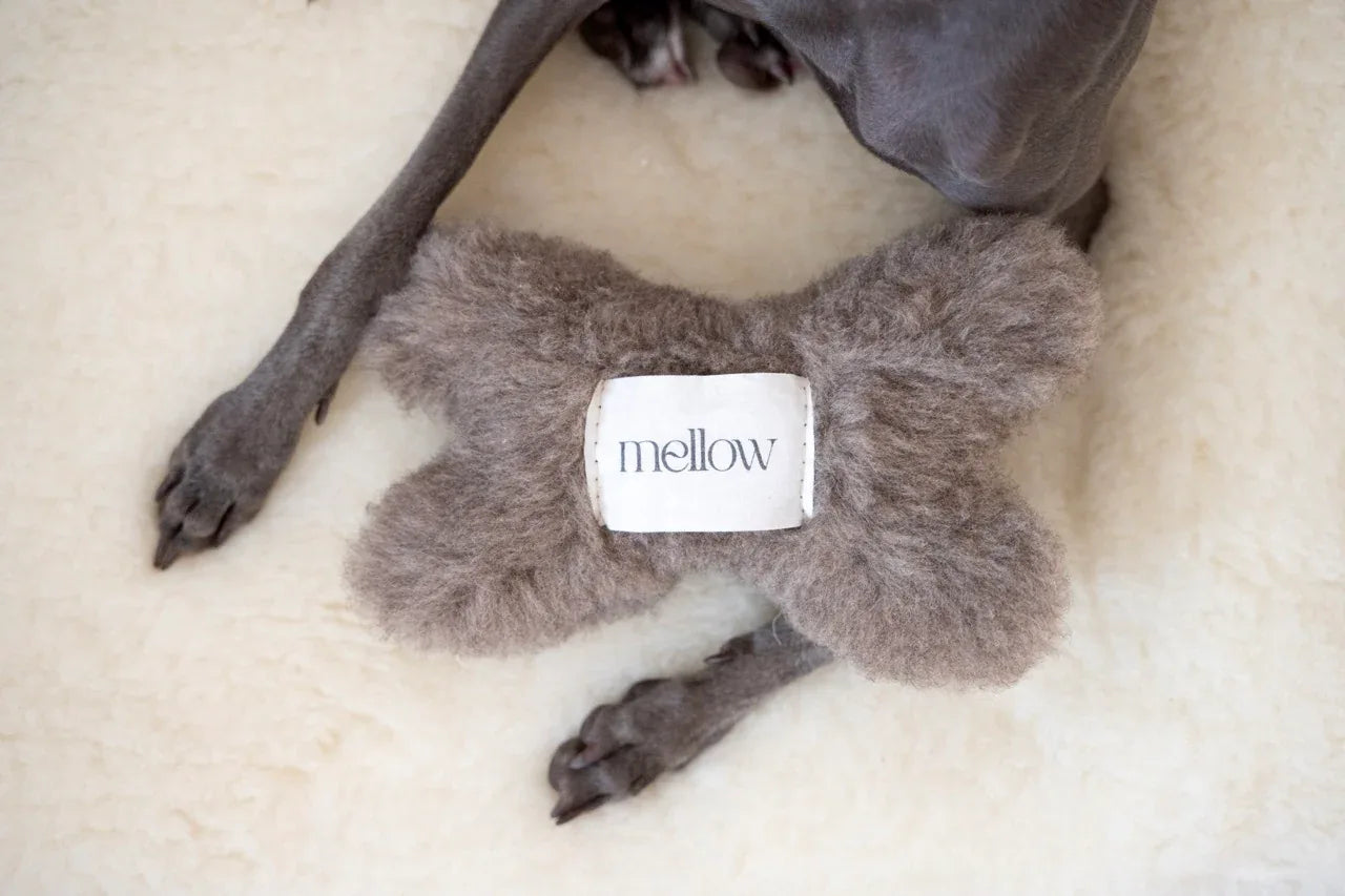 Natural Woolen Dog Toy - Bone - Beige - MellowConceptStore