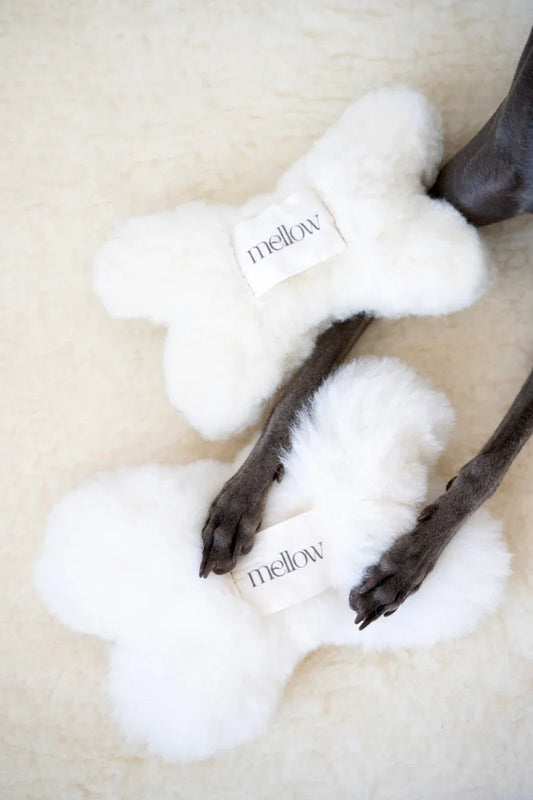Natural Woolen Dog Toy - Bone - White - MellowConceptStore