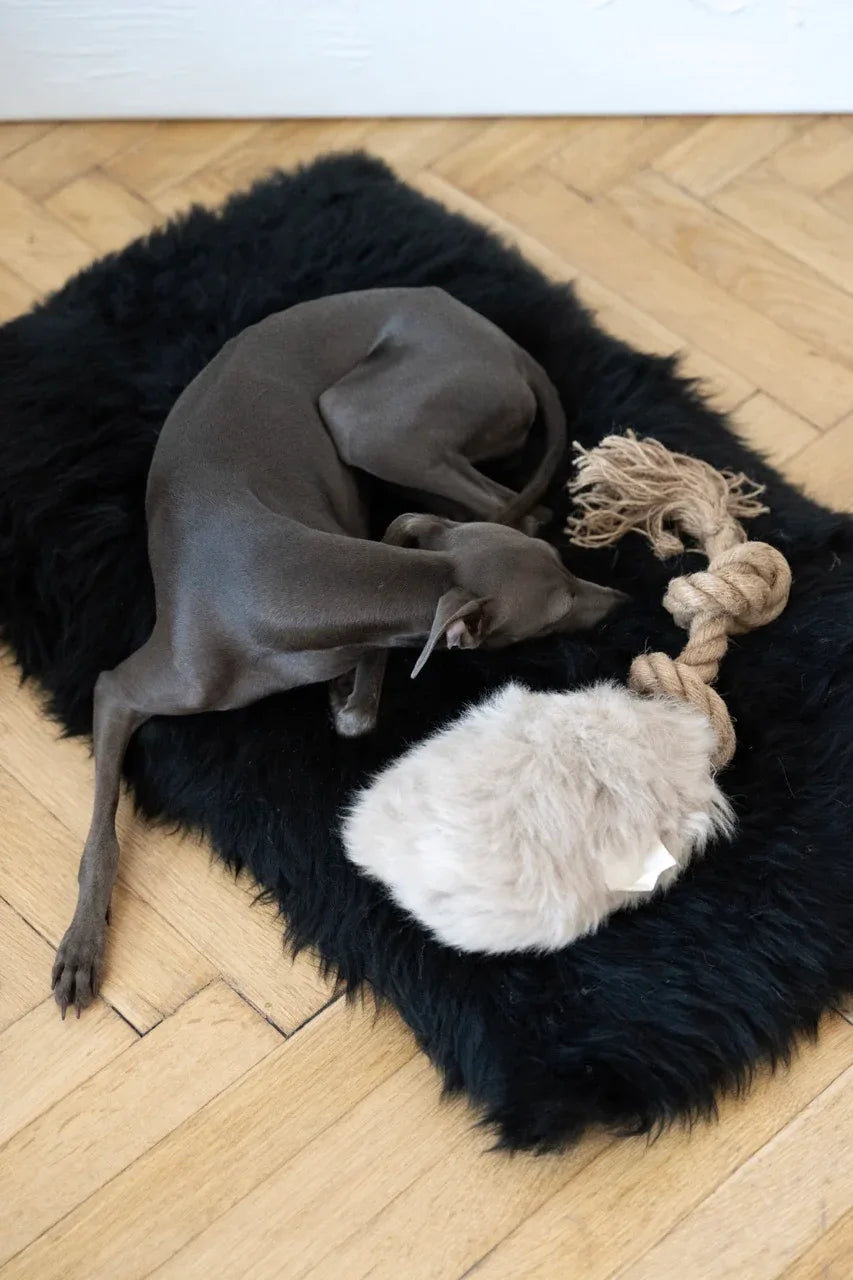 Natural Sheepskin Dog Tug Toy - Beige - MellowConceptStore