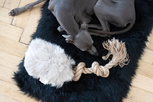 Natural Sheepskin Dog Tug Toy - Beige - MellowConceptStore