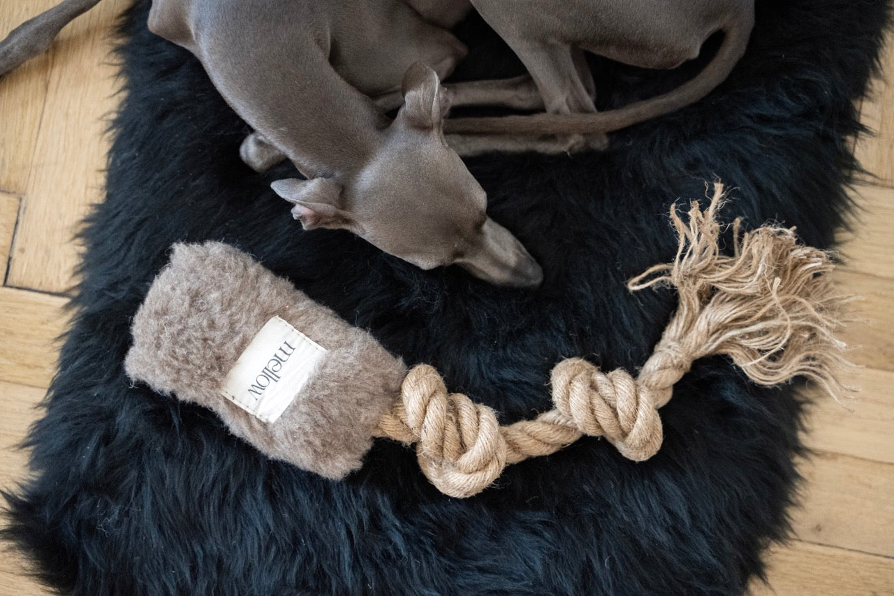 Natural Woolen Dog Tug Toy Beige