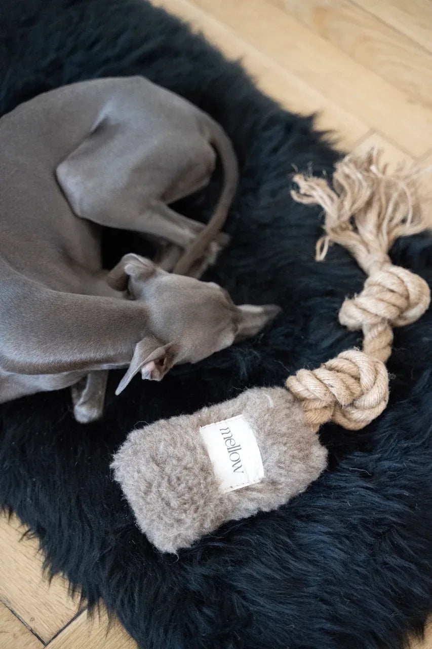 Natural Woolen Dog Tug Toy - Beige - MellowConceptStore