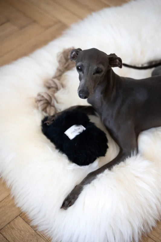Natural Sheepskin Dog Tug Toy - Black - MellowConceptStore