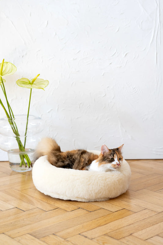 Round Natural Wool Pet Bed - White - MellowConceptStore
