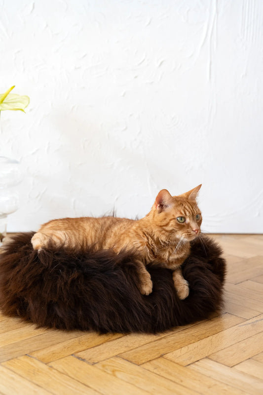 Round Natural Sheepskin Pet Bed - Brown - MellowConceptStore