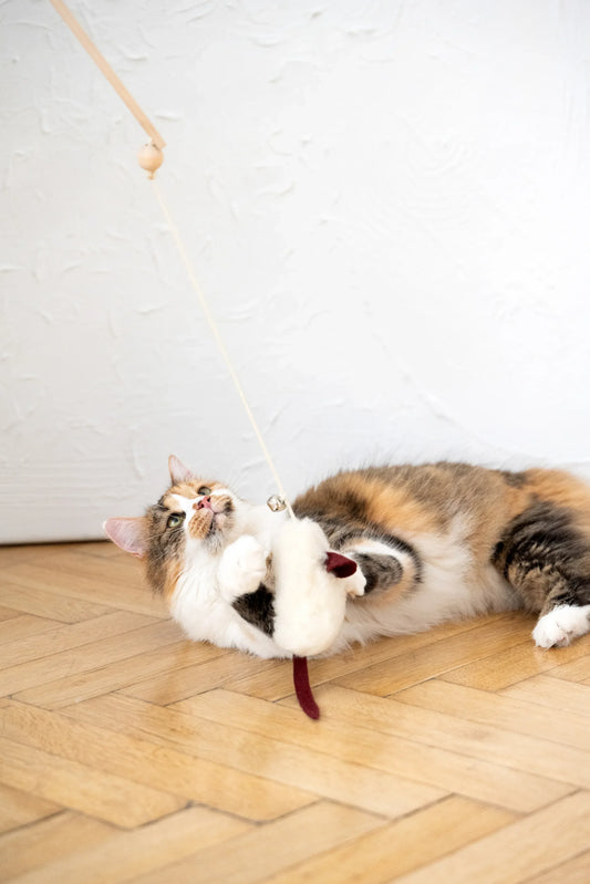 Natural Woolen Cat Toy: Mouse - MellowConceptStore