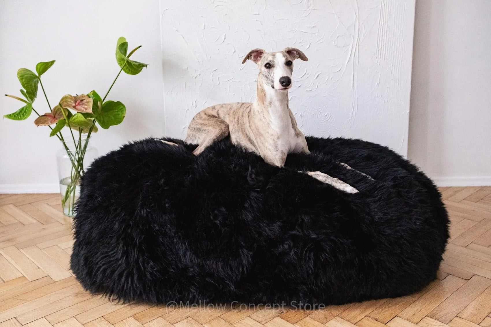 Oval Natural Sheepskin Pet Bed - Black - MellowConceptStore