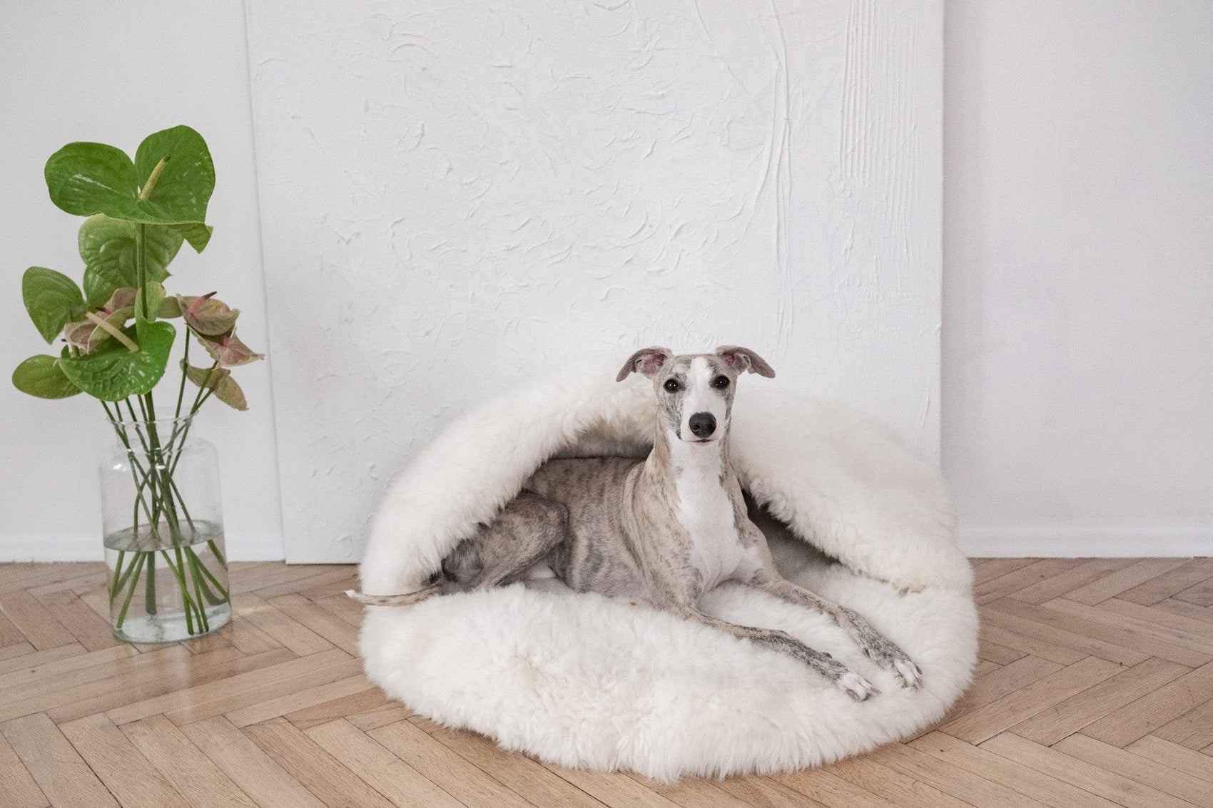 Natural Sheepskin Pet Cave - White - MellowConceptStore