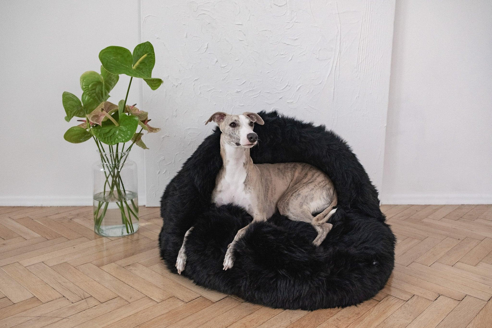 Natural Sheepskin Pet Cave - Black - MellowConceptStore