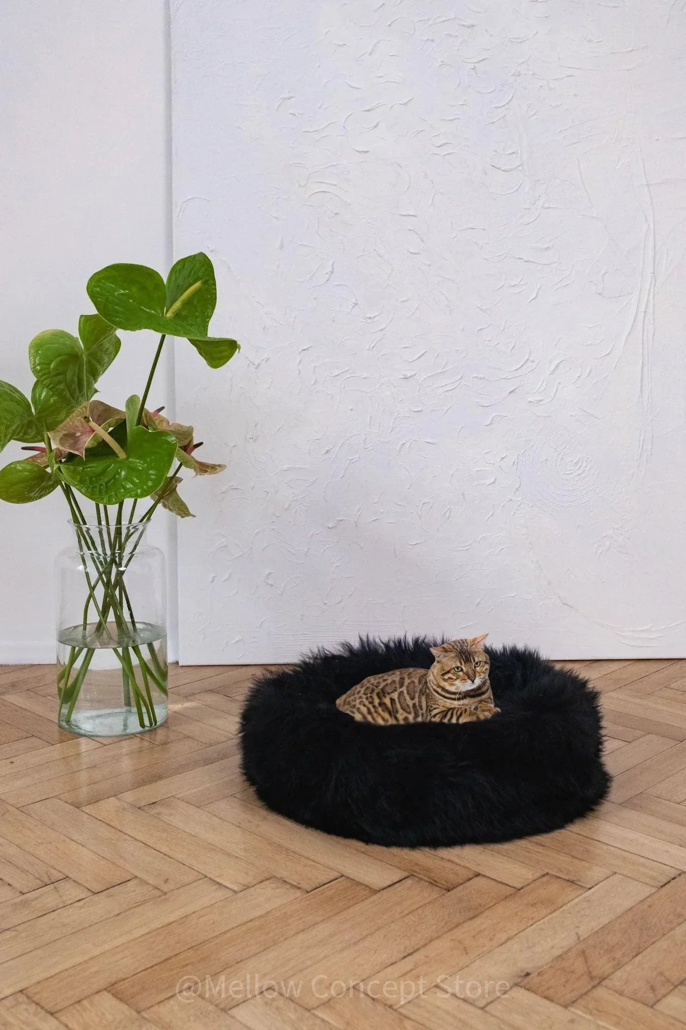 Round Natural Sheepskin Pet Bed - Black - MellowConceptStore