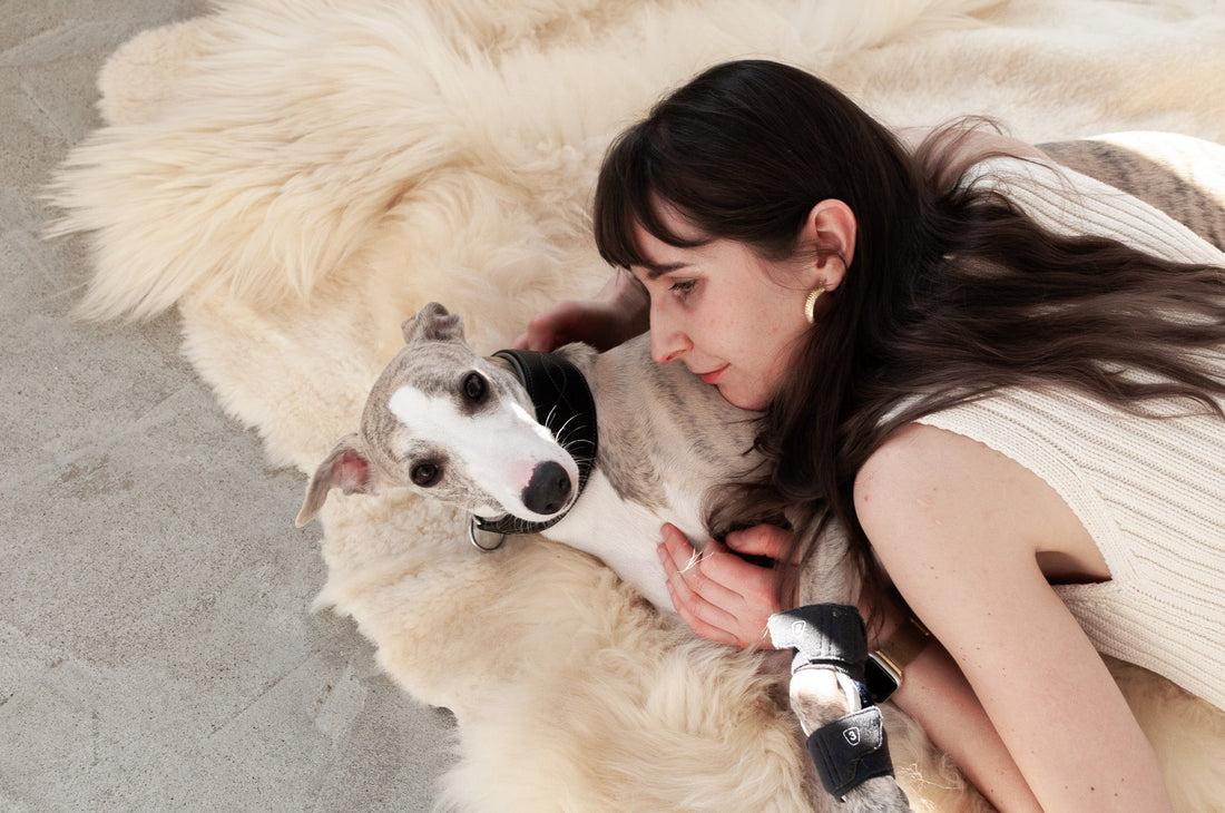 Is Your Home Making You Sick? The Toxic Truth About Furniture, Carpets & Pet Products