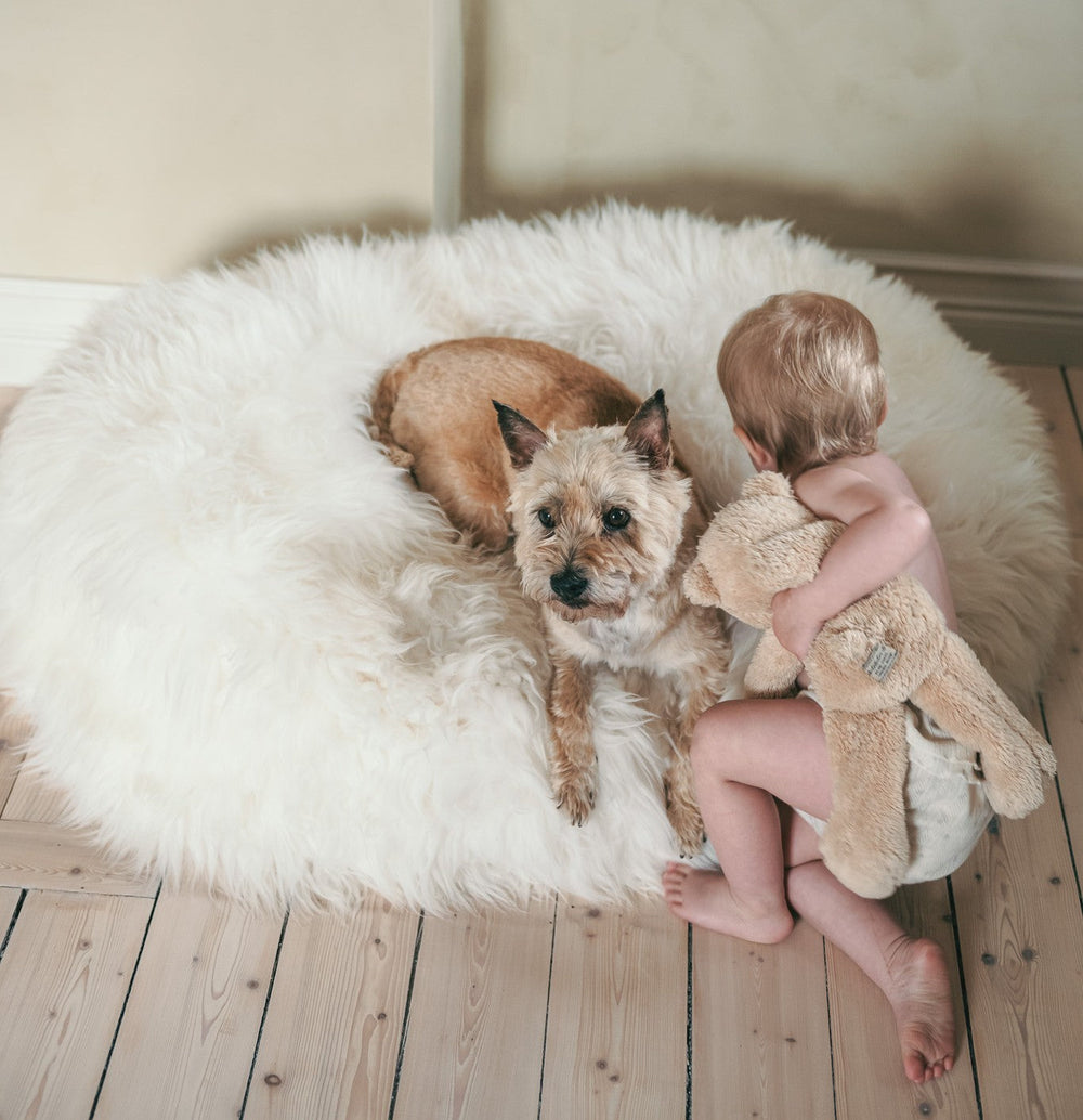 Toddler in a cloth diaper hugging a plush toy while sitting next to a small terrier dog on a luxurious white sheepskin pet bed. Set on pale wooden floors, the scene radiates warmth, safety, and toxin-free living.