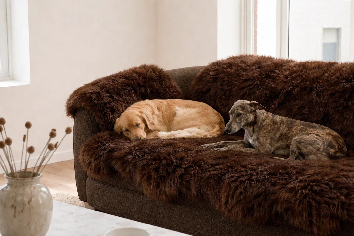 Genuine Brown Sheepskin Couch Cover for Dogs — Natural Sofa Protector (Plastic-Free) - MellowConceptStore