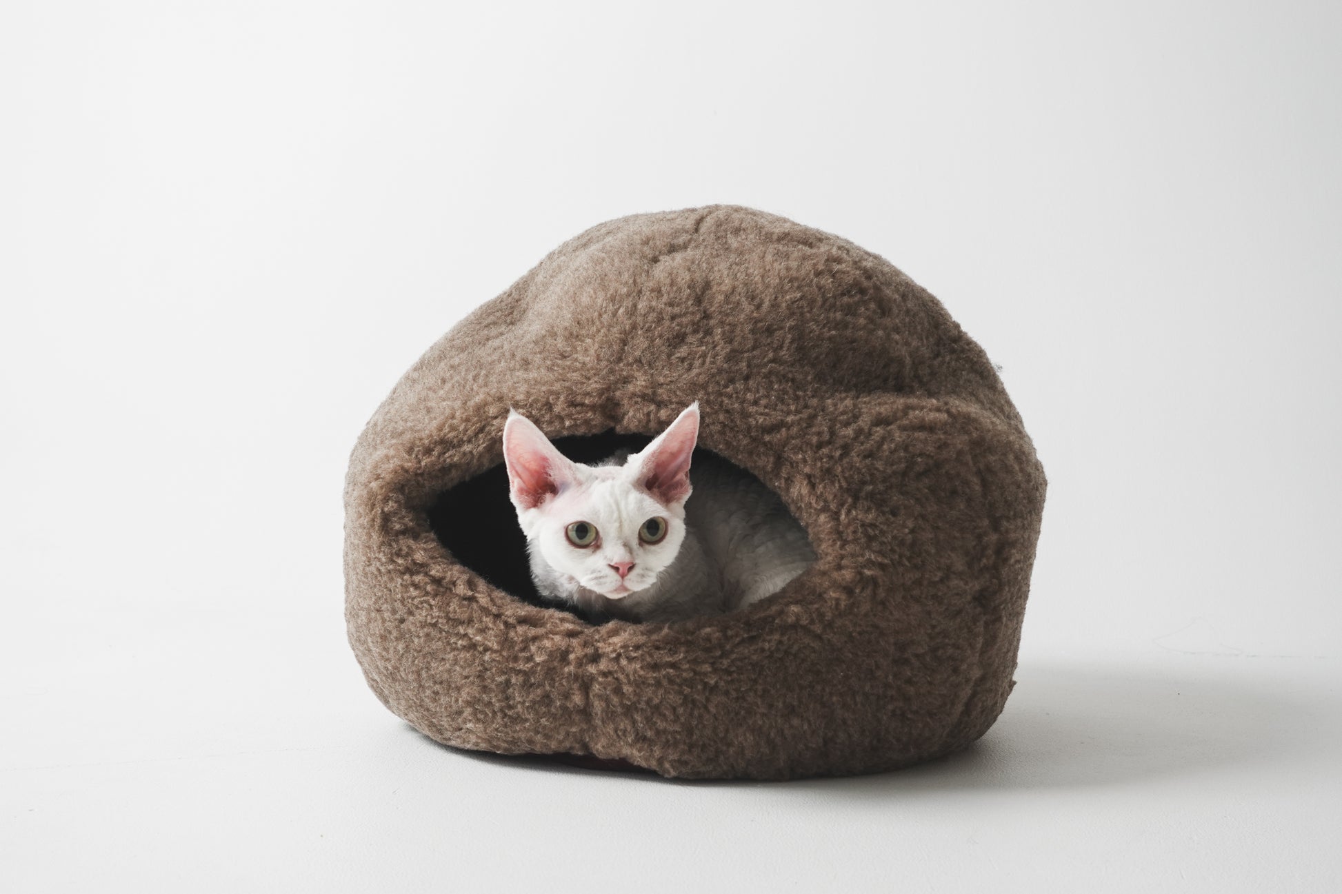 Cat peeking out from a brown cat bed on a white background  | Natural, non‑toxic pet nest for cats and small dogs | Cozy, handmade pet furniture

